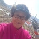 태송농원 이미지