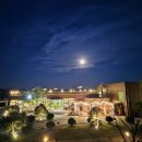 이수미팜베리 이미지