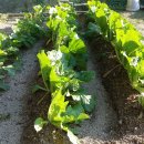 원주천사공인중개사사무소 이미지