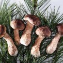 자연산약초마을 이미지