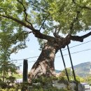 사림동128 이미지