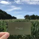 당진시종합복지타운 | 당진 맛집 추천 베스트 10 순위