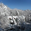 대관령자연휴양림 이미지