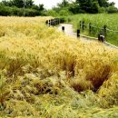 유월모텔 이미지