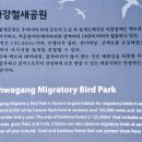 태화강 철새공원 이미지