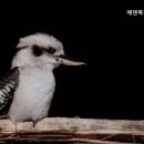 에덴복지요양센터 이미지