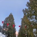 호수파출소 | 안성곤드레맛집 한정식 정선 곤드레바다 금광호수점