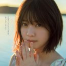 니시노 나나세 카카오 검색결과