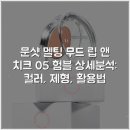 문샷 멜팅 무드 립 앤 치크 05 험블 상세분석: 컬러, 제형, 활용법