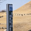 창녕대가 | 경남가족여행 창녕박물관 상설전시실관람 교동고분군 우포로와 버거 완벽 여행 코스