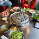 장수갈매기 이미지