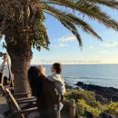 더클리프 | 제주 중문 오션뷰맛집 카페 추천 내돈내산 돌아기랑 더클리프 방문 후기