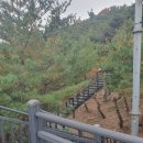 인왕산등산로입구 공중화장실 | 인왕산 단풍산행, 찐 초보자 후기 공유(준비물, 등산 하산 코스, 다이소 등산스틱 품번 정보)