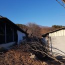 내지농장 이미지