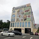 오아커피 용인상하점 | 식물원 감성 용인 대형카페 포레스트아웃팅스, 평일 데이트 코스 추천 내돈내산