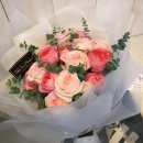 보나르떼디자인