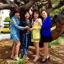 철성초등학교 이미지