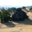 근수목장 이미지