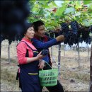 서정길농장 이미지