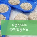 솝리:본