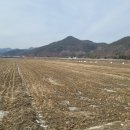 섬강농장 이미지