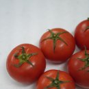 율스몰 | 율스팜 토마토 후기, 산지직송 완숙 토마토라 더 만족스러운 재구매템