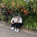 리틀포레스트스냅