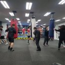 성남권투 이미지