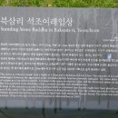 북삼리석조여래입상 이미지
