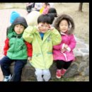 돌고래농장 이미지