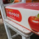 와룡농원 이미지