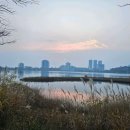 영랑부동산공인중개사사무소 이미지