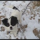 햇귀풍경 이미지