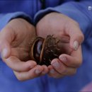 한소망요양원