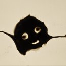 위누리지역아동센터 이미지