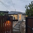 신흥늦장 이미지