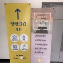 댕댕클럽 이미지