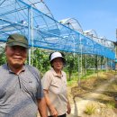 용진2농장 이미지