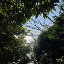 여수 부모님여행 2일차 오동도 향일암 여수산단전망대