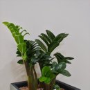 한우리지역아동센터 이미지