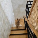 솔머리펜션 이미지