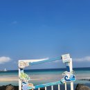 제일농약종묘사 | 제주도 낭만 느낄 수 있는 곳 세화해수욕장 : 카페한라산, 여름문구사, 세화씨문방구 소품샵