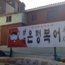 감포은정복어 이미지