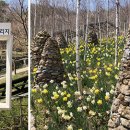 순도 이미지