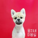뭉치네 미용실 이미지