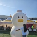 진영운동장(진영리 1347) | 진영 단감축제 꿀팁 총정리! 김해 가을 여행코스로 알고가야되는 것들