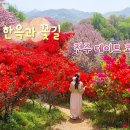 현대꽃동산 이미지