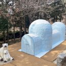 구덕산 유아숲체험원 이미지