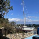 파도소리스파글램핑펜션 이미지