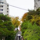 제중원의료기